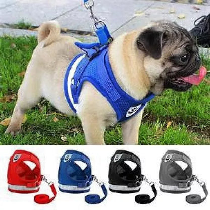 Peitoral Com Guia para Caes E Gatos Colete Regulavel Super Confortavel para Cachorro