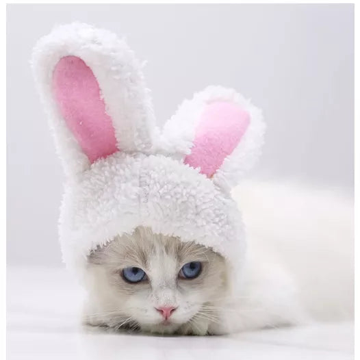 Petmall Capa De Gato De Leão cosplay