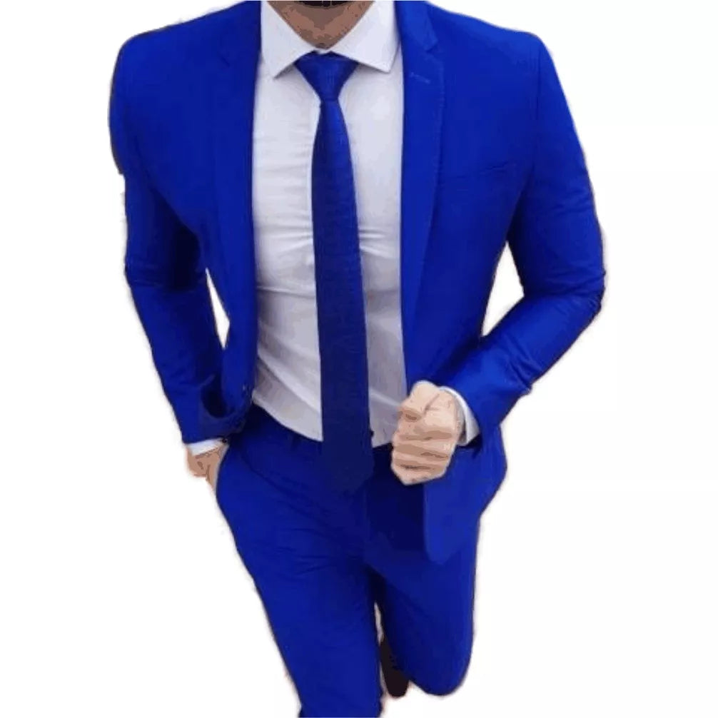 Terno Slim Masculino Completo de Luxo - Várias Cores ( Calça + Blazer )