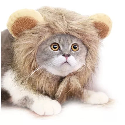 Petmall Capa De Gato De Leão cosplay