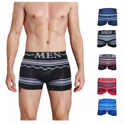 Kit 10 Cueca Box Boxer Adulto Microfibra Premium